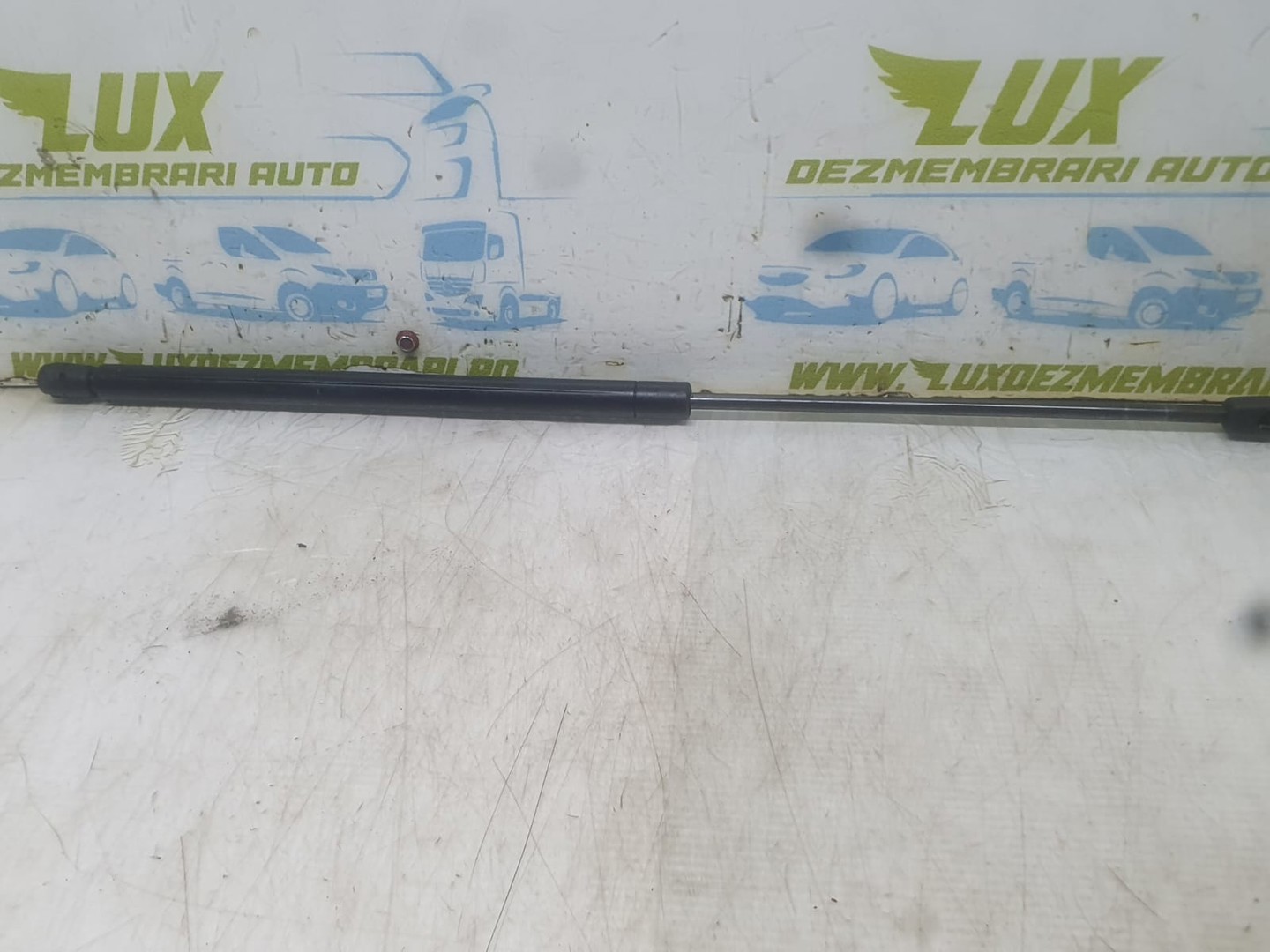 Amortizor capota 4161706656601 Mini One R50 (2001 - 2004)