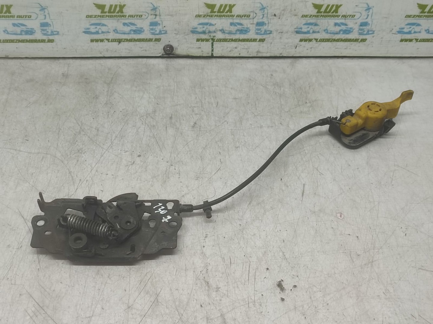 Broasca capota Ford Kuga 2 (2013 - 2020)