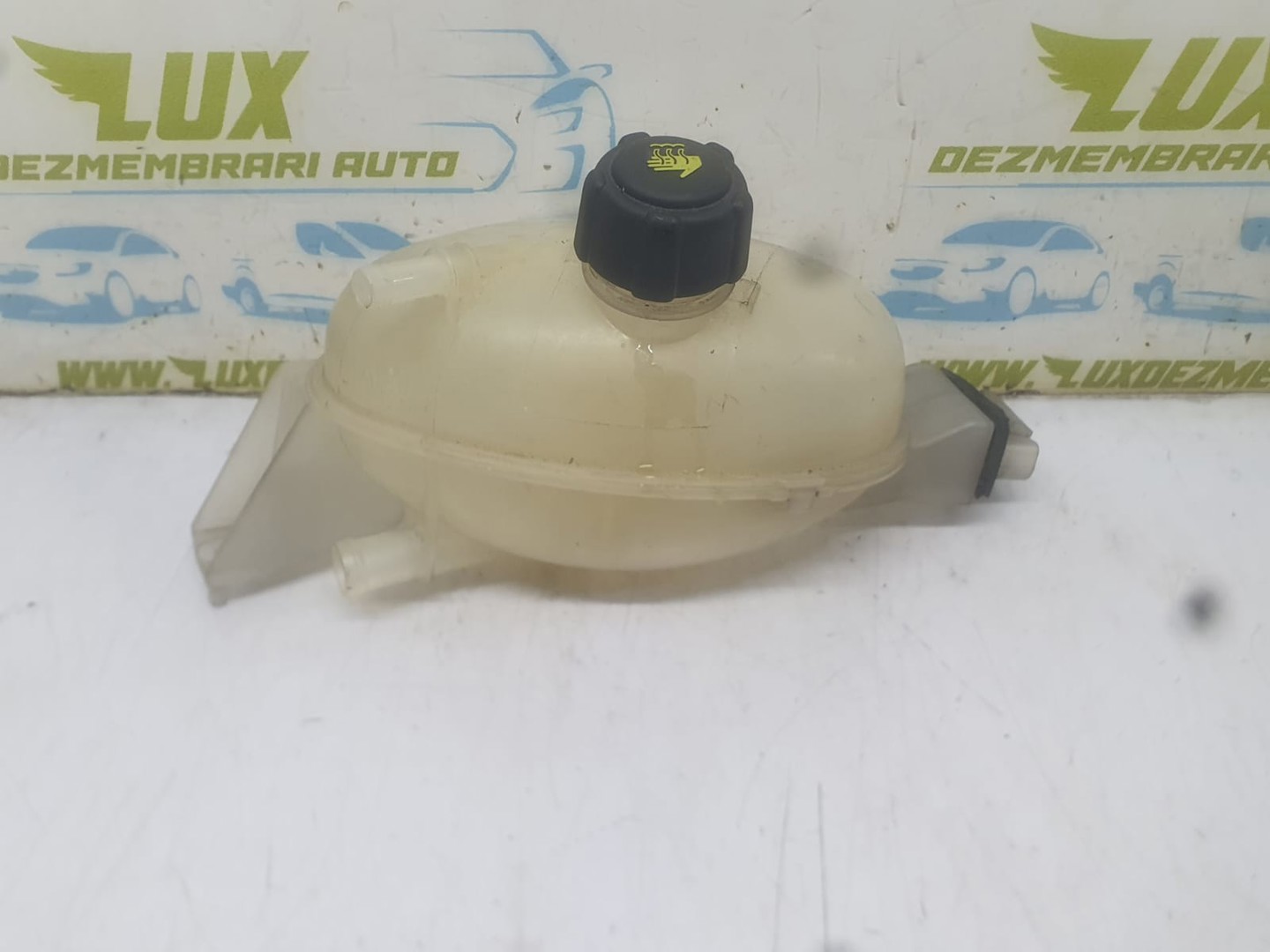 Vas expansiune 217100015R Renault Trafic 2 (facelift) (2006 - 2015)