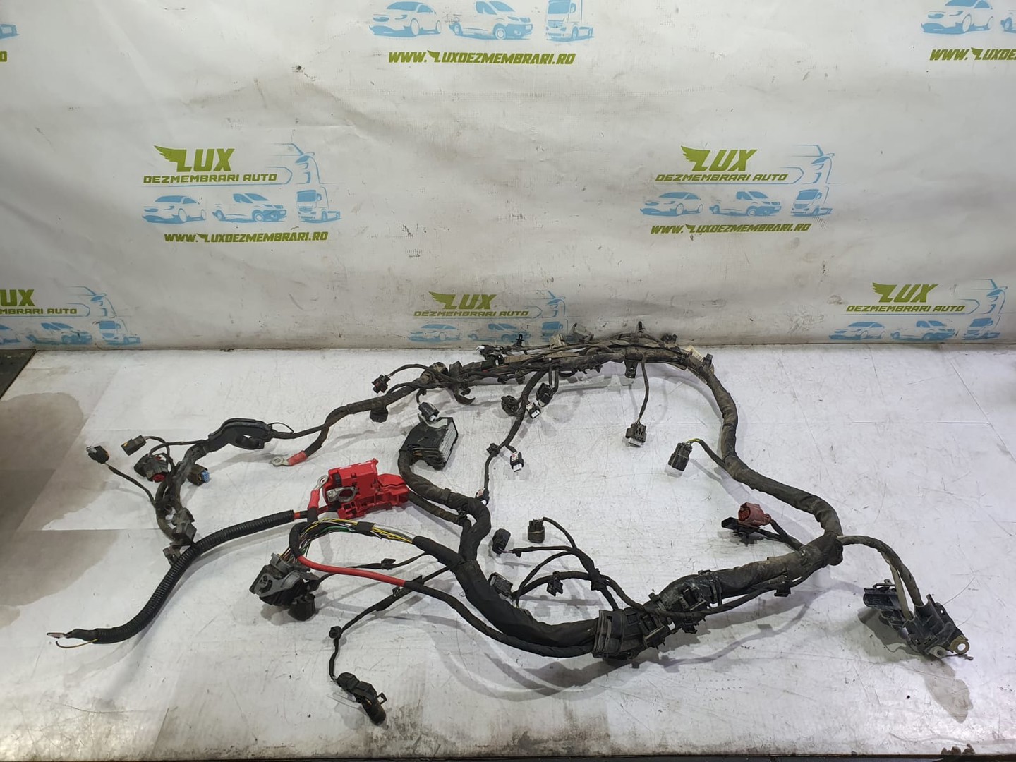 Cablaj electric motor J1bt-12c508-abg Ford Fiesta 7 (2017 - 2020)