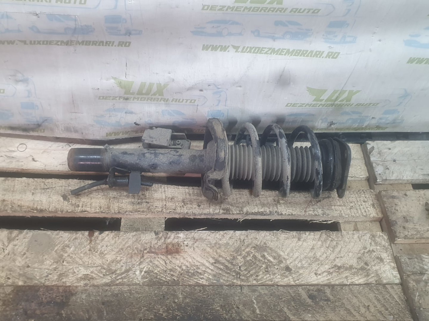 Amortizor fata CV61-18045-ACB Ford Kuga 2 (2013 - 2020)