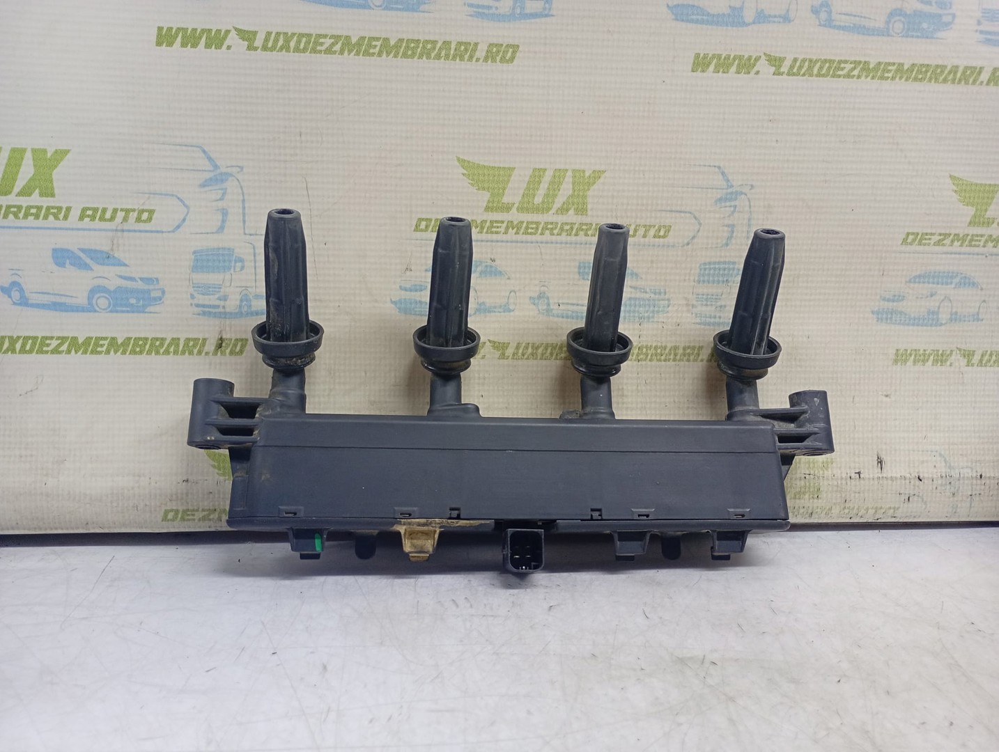 Bobina inductie 9654814480 26951960 Peugeot 206 1 (facelift) (2002 - 2009)