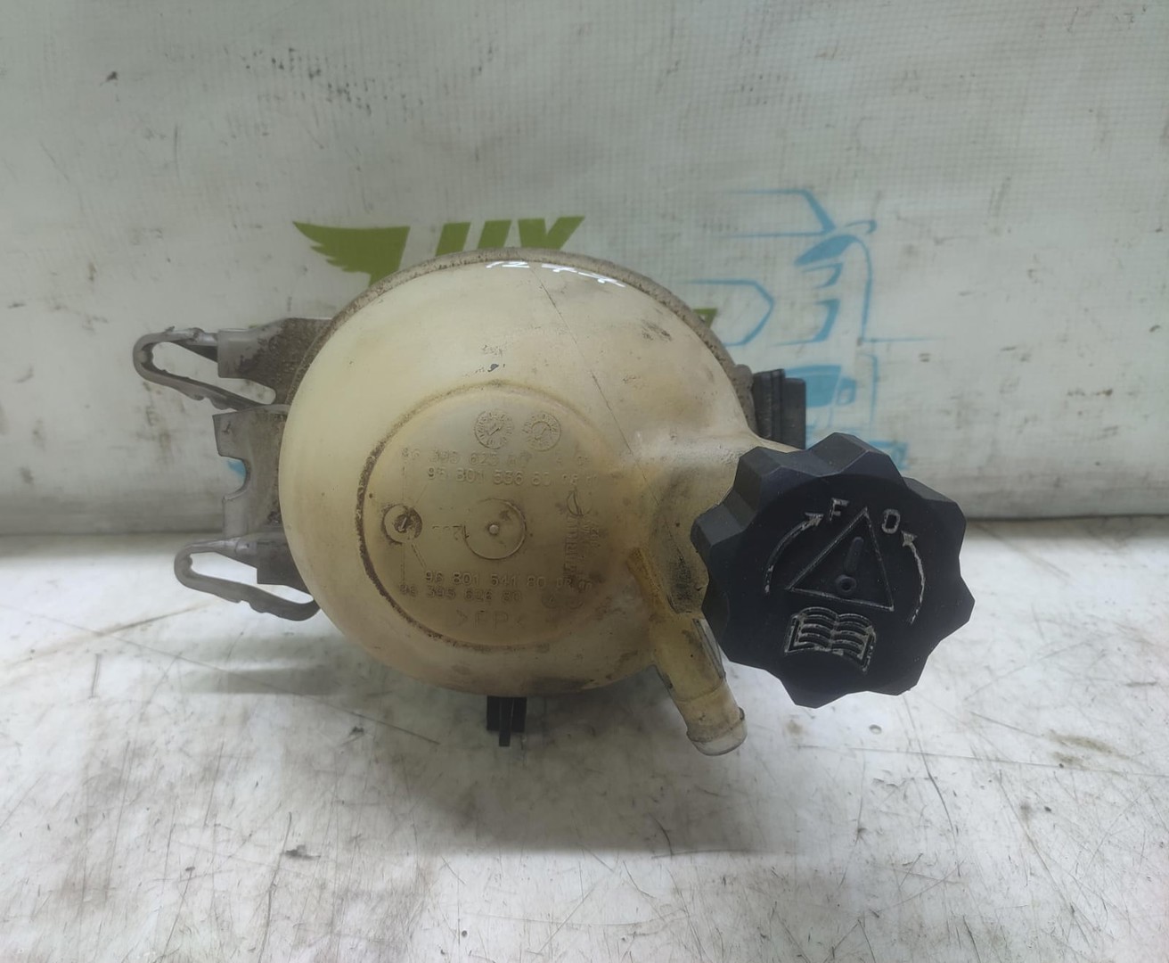 Vas expansiune 9639562580 Citroen C3 1 (2002 - 2010)