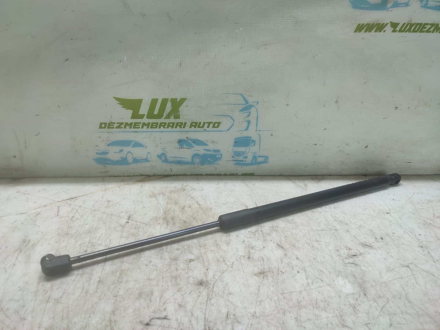 Amortizor haion BM51N406A10AC Ford Focus 3 (2011 - 2015)