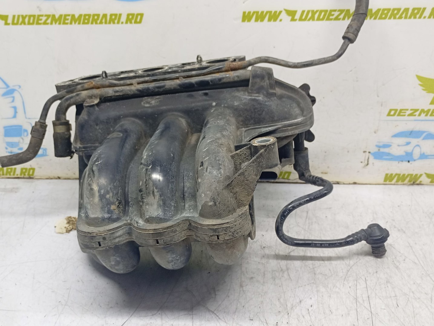 Galerie admisie 03D129766L Volkswagen Polo 4 (9N) (2001 - 2005)