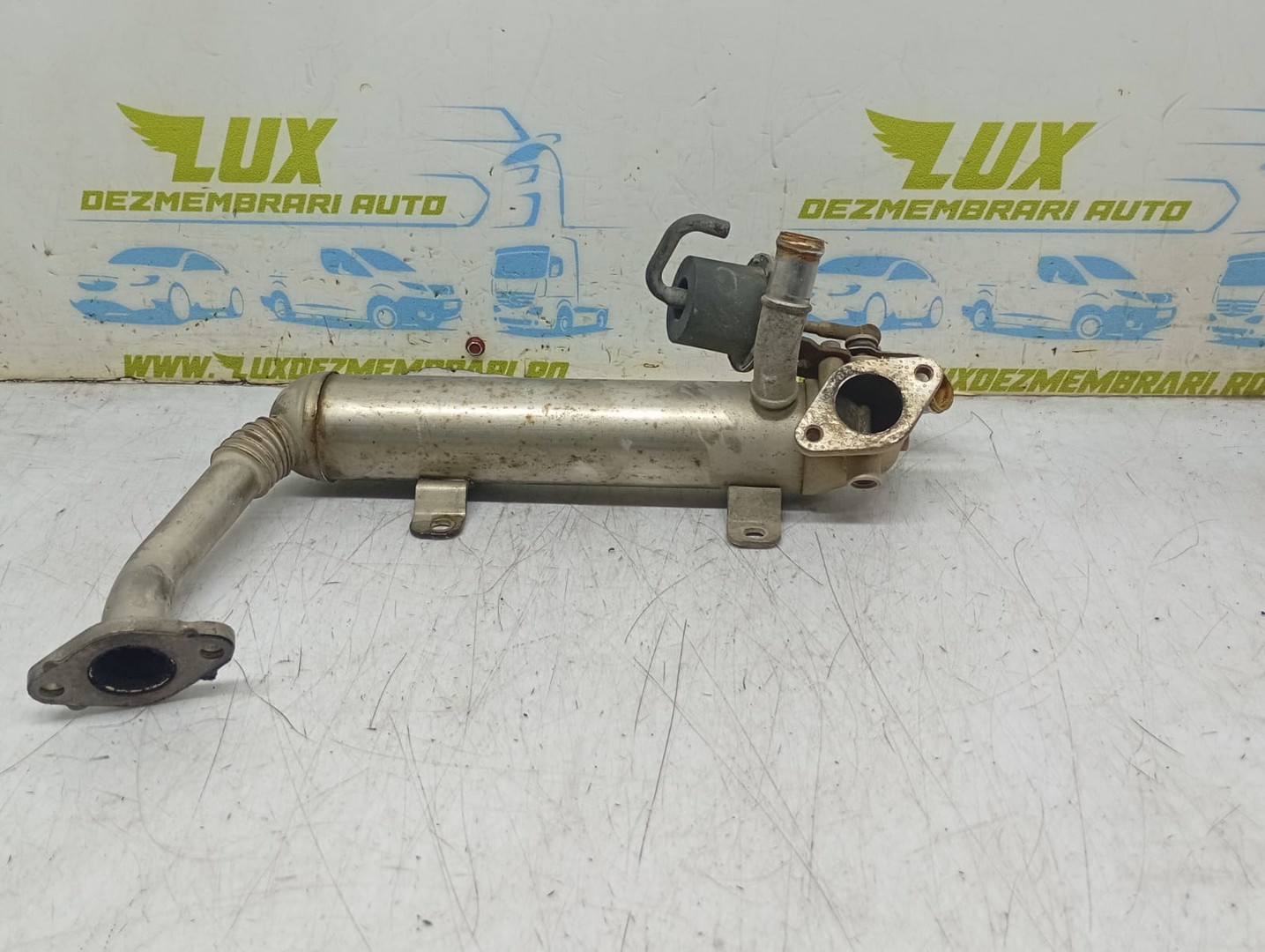 Racitor gaze EGR 03G131512 Volkswagen Passat B6 (2005 - 2010)