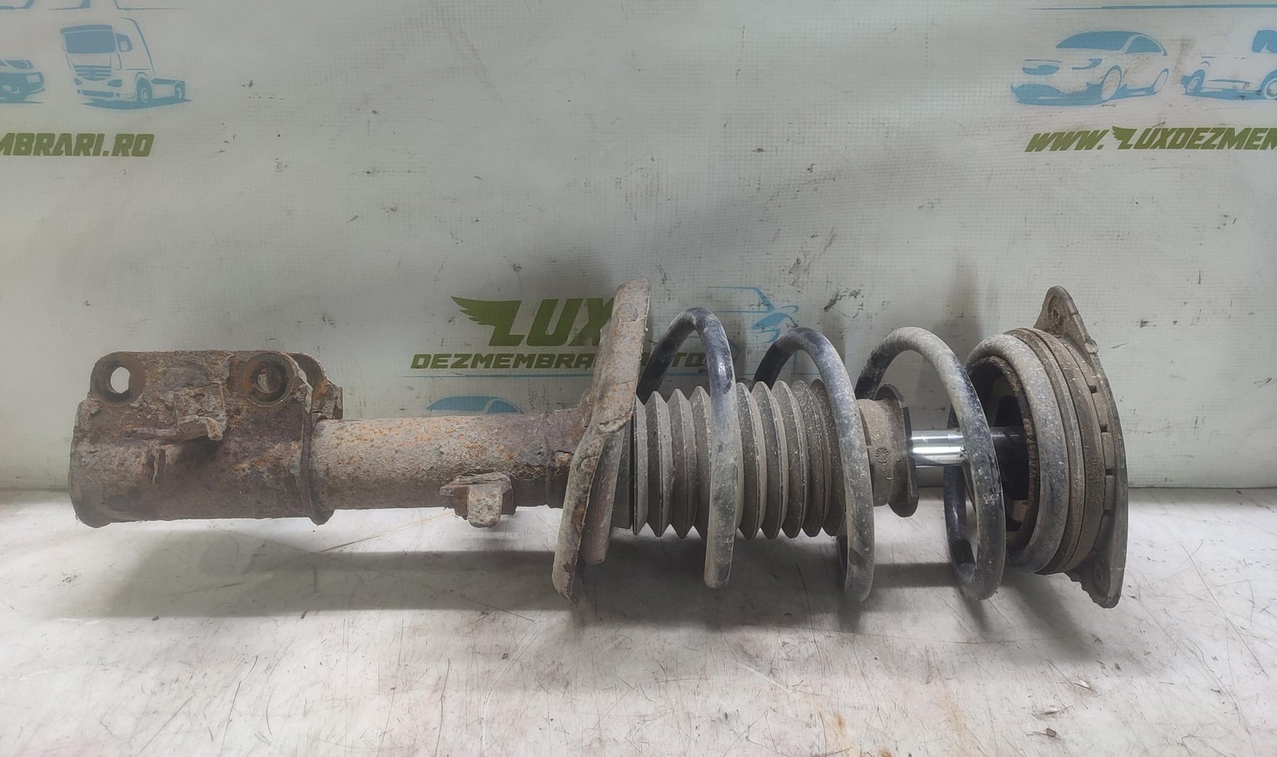 Amortizor cu arc stanga fata Renault Laguna 3 (2007 - 2011)
