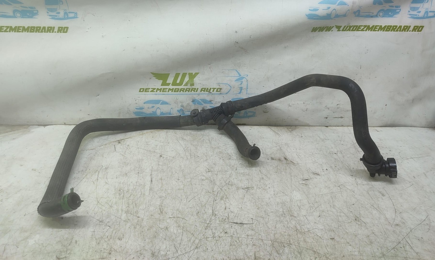 Furtun apa Renault Talisman 1 (2012 - 2020)