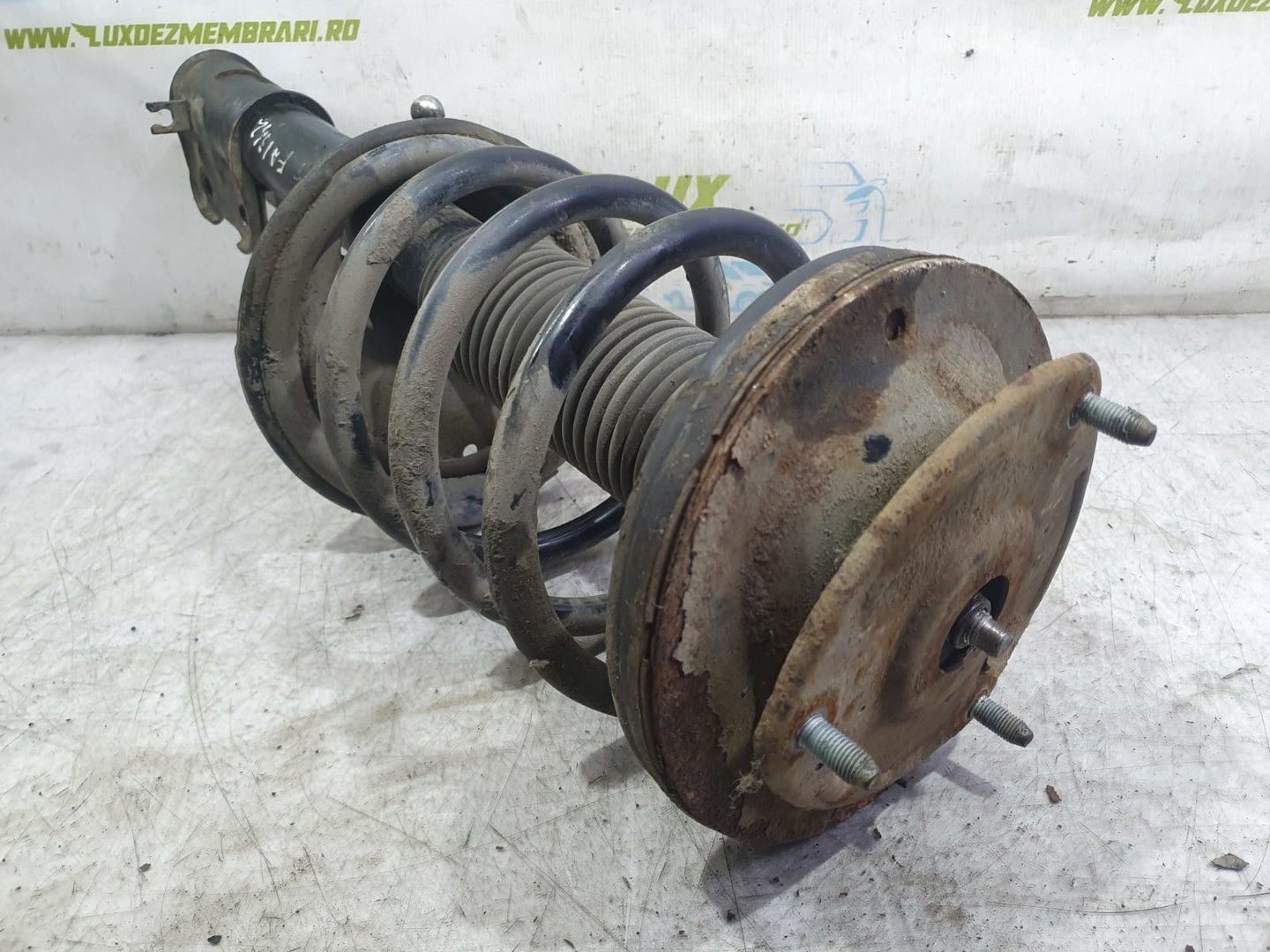 Amortizor cu arc stanga fata Hyundai Santa Fe CM (2006 - 2010)