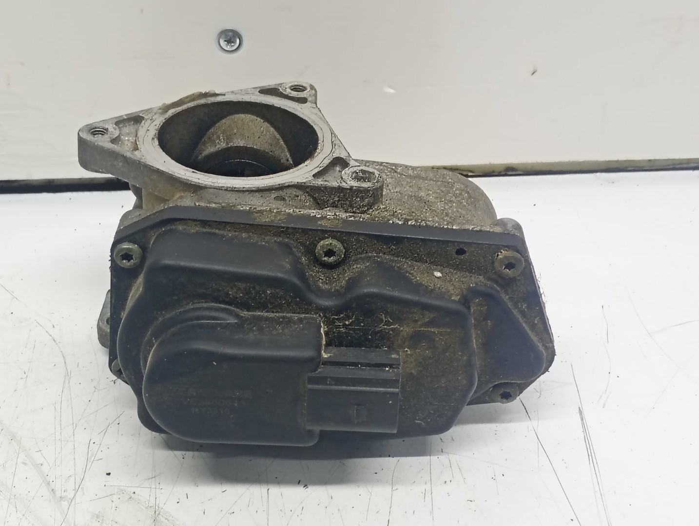 EGR VE360064 Volkswagen Passat B6 (2005 - 2010)