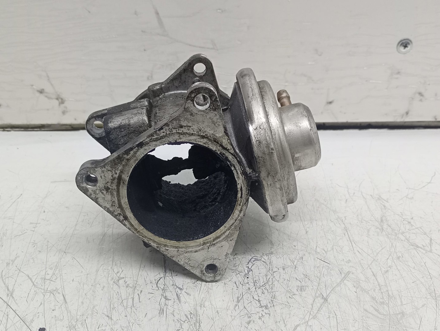 EGR 038131501AR Volkswagen Golf 5 (2003 - 2009)