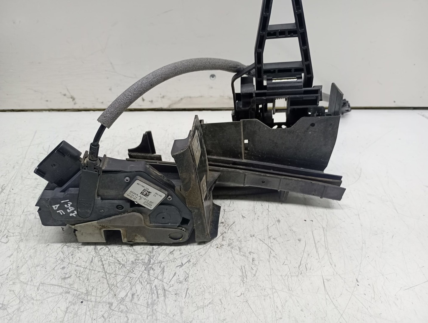 Broasca dreapta fata BM5A-A21812-BF Ford Focus 3 (2011 - 2015)