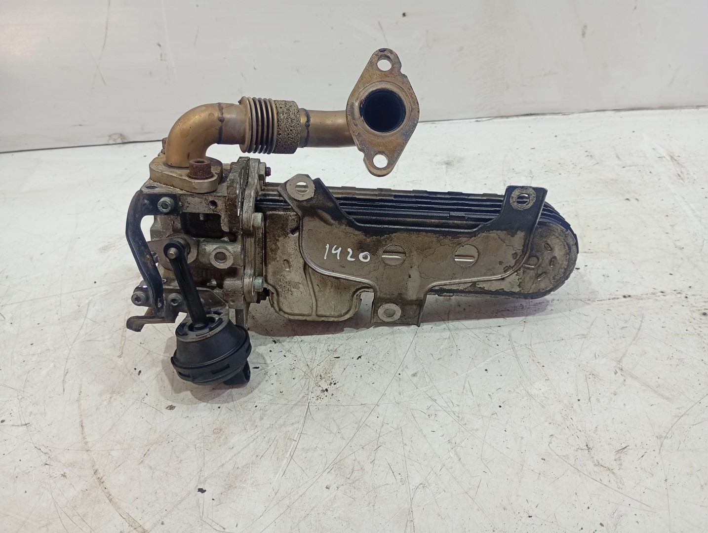 Racitor gaze EGR 038131513ad Seat Leon 2 (1P) (2005 - 2009)