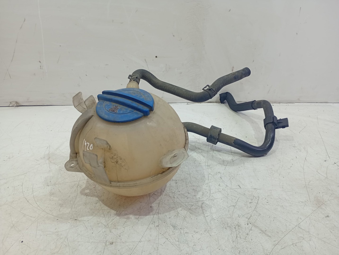 Vas expansiune 1k0121407a Seat Leon 2 (1P) (2005 - 2009)