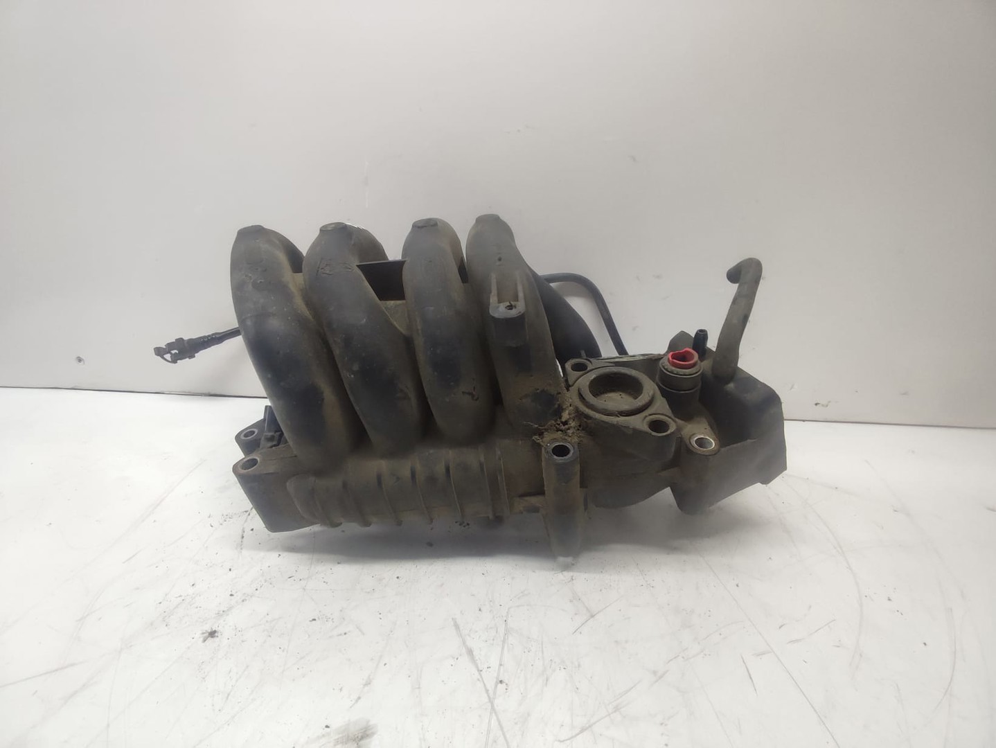Galerie admisie 1s4g9424ac Ford Focus 1 (1999 - 2004)