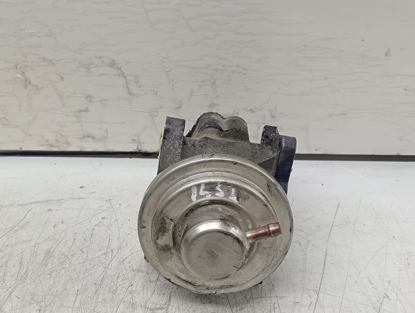 EGR 038129637D Volkswagen Golf 5 (2003 - 2009)