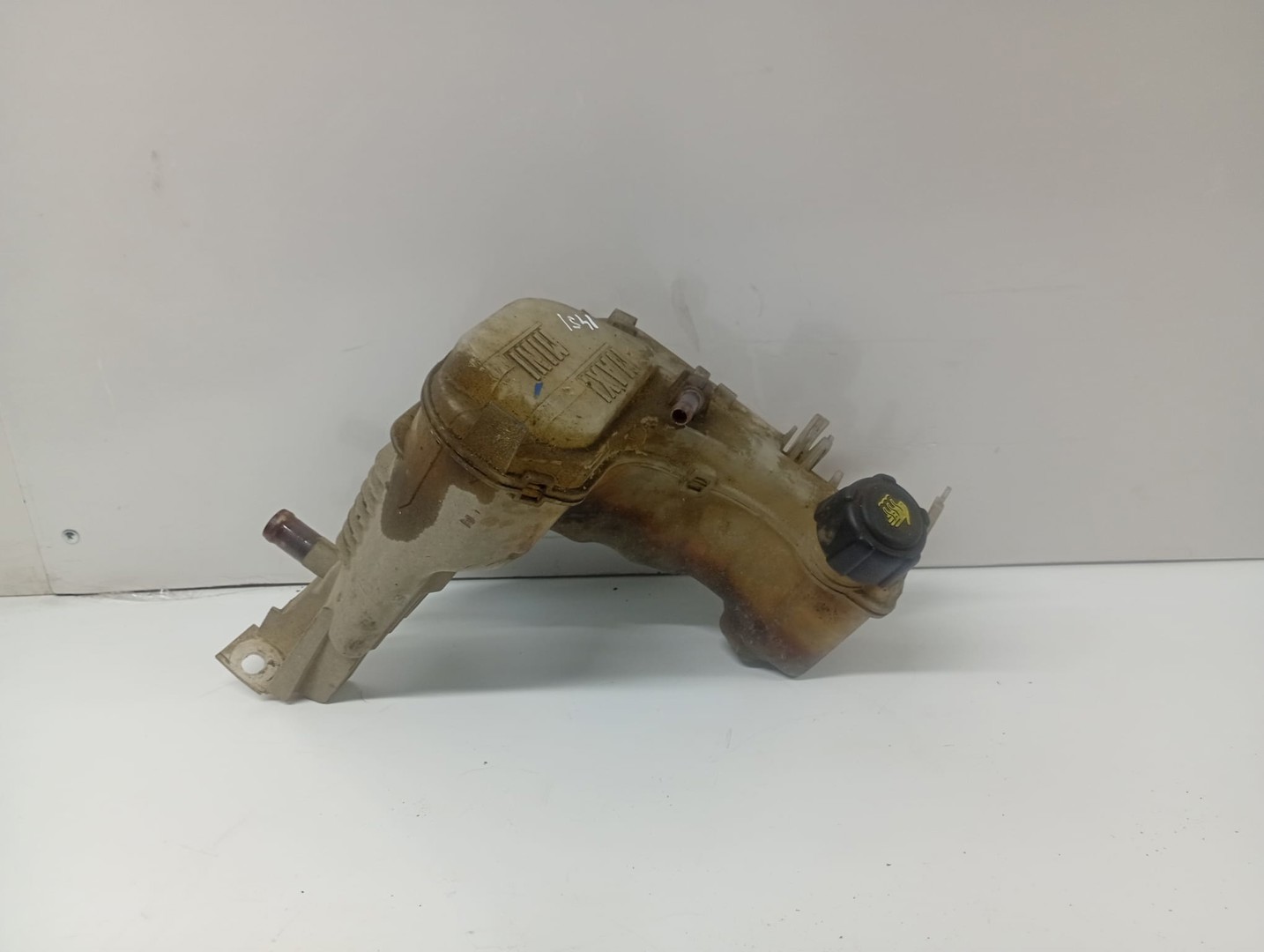 Vas expansiune 217100014R Renault Laguna 3 (2007 - 2011)
