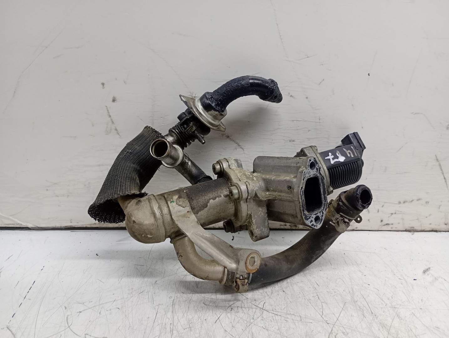 Racitor gaze EGR 55184651 Lancia Ypsilon 1 (2003 - 2006)