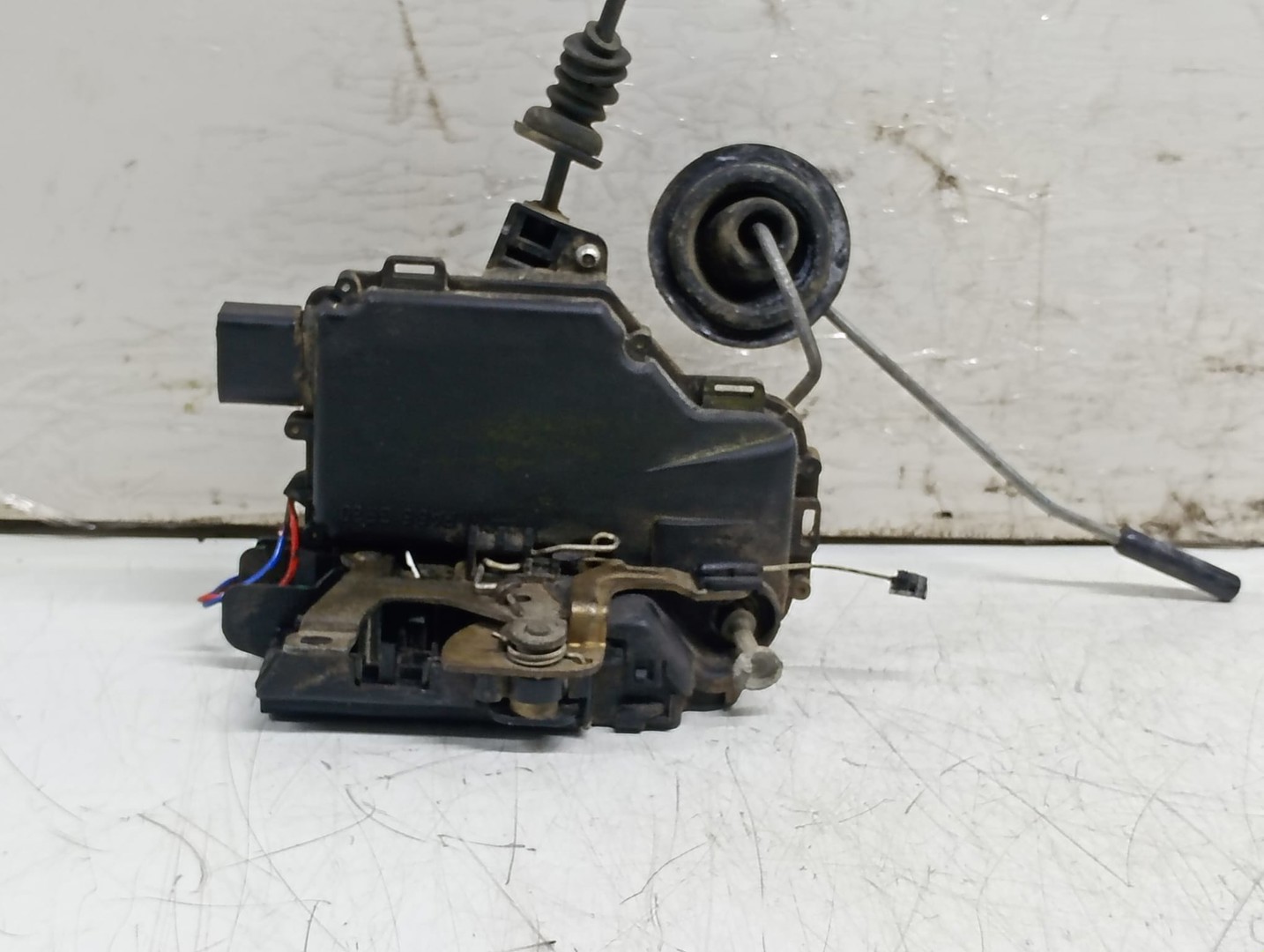Broasca stanga fata C3B1837015 Volkswagen Golf 4 (1997 - 2006)