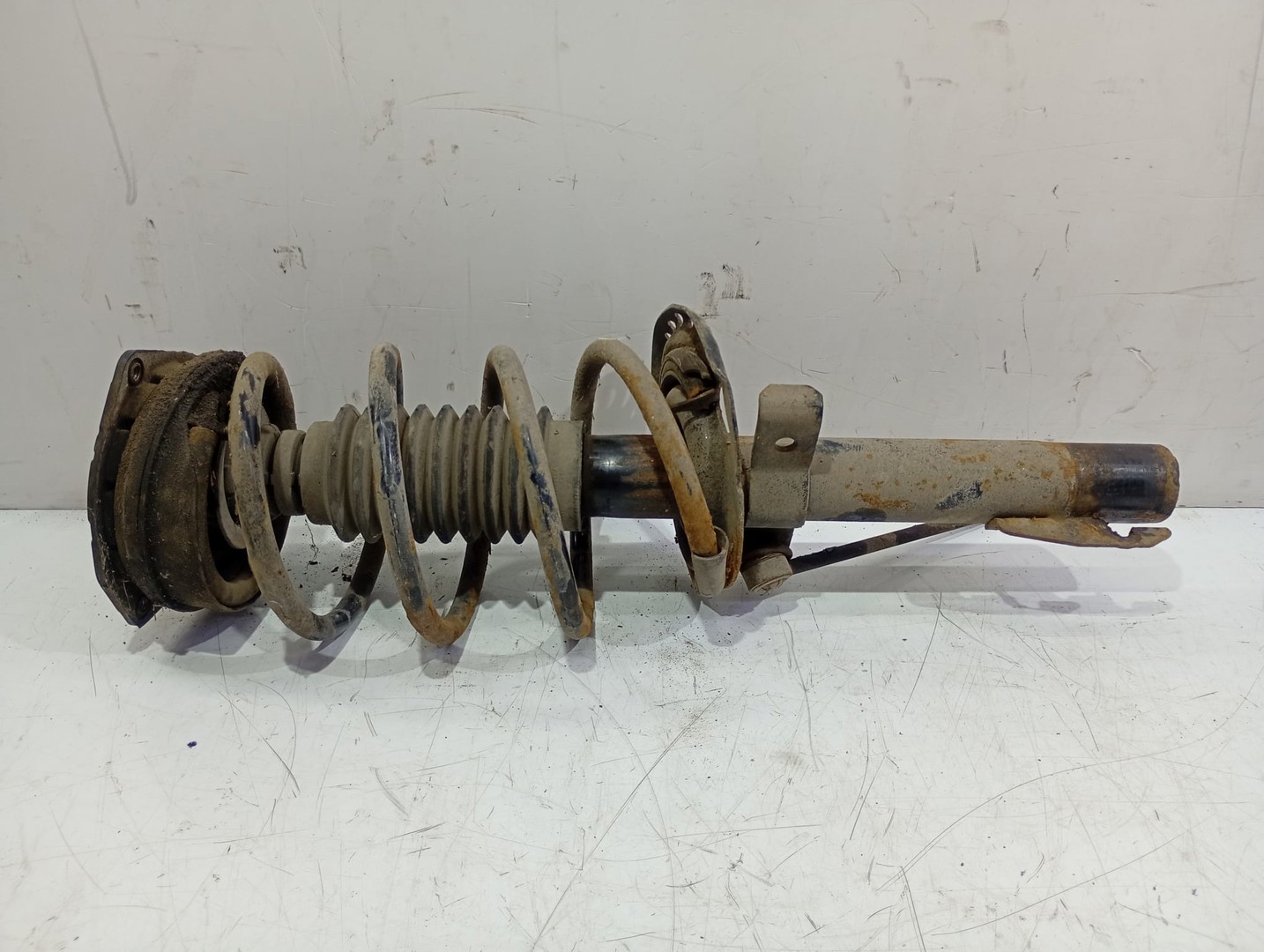 Amortizor cu arc stanga fata Renault Megane 2 (2002 - 2006)