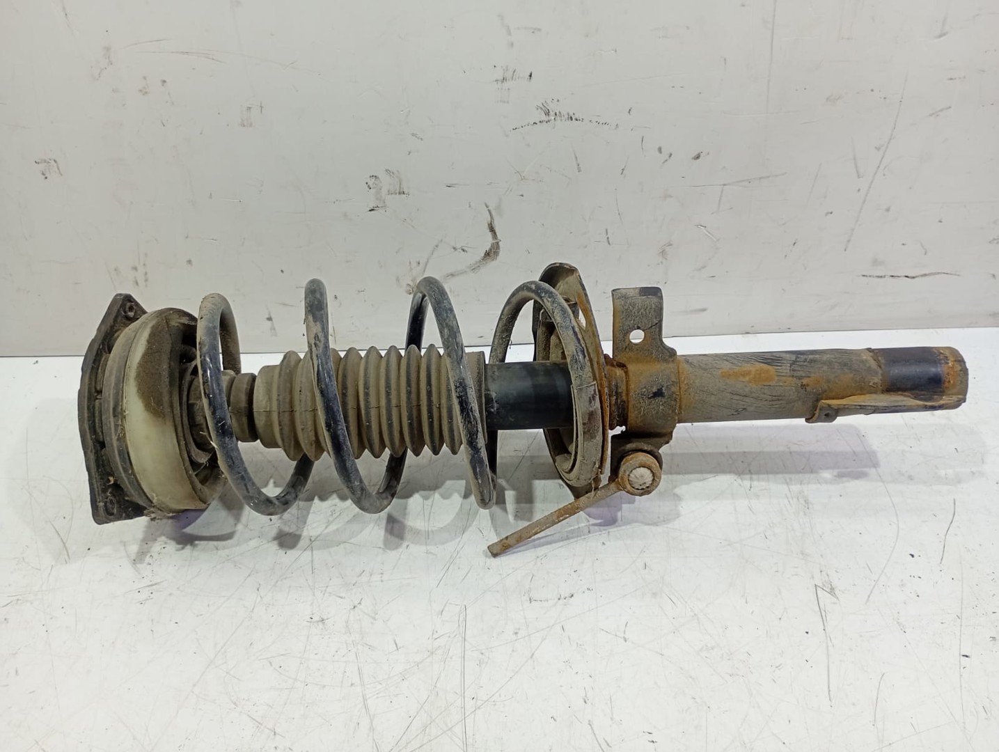 Amortizor cu arc stanga fata Renault Megane 2 (2002 - 2006)